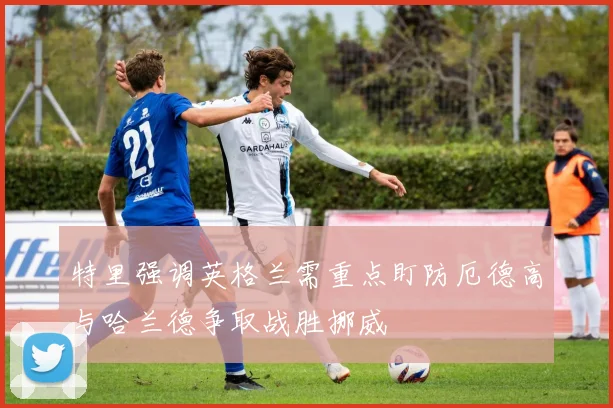 特里强调英格兰需重点盯防厄德高与哈兰德争取战胜挪威